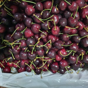 CHI TIẾT VỀ CHERRY NEWZEALAND